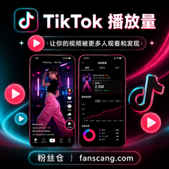 TikTok 播放量 | 稳定 | 速度较快